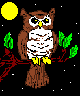 new owl.GIF (2715 bytes)